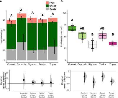 Root colonization by arbuscular mycorrhizal fungi is reduced in tomato plants sprayed with fungicides